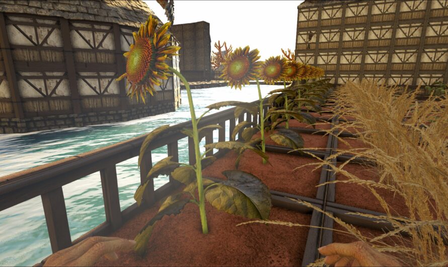 Sunflowers