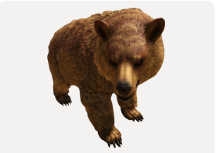 Bär