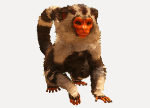 Affe