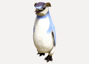 Pinguin