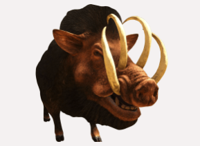 Schwein