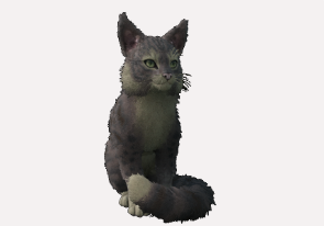 Katze