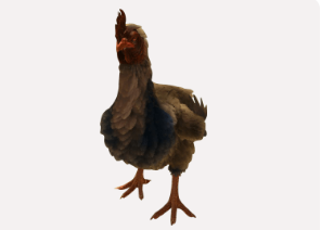 Huhn