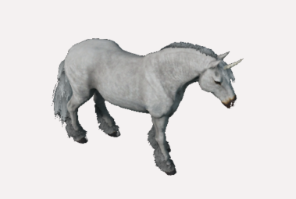 Einhorn