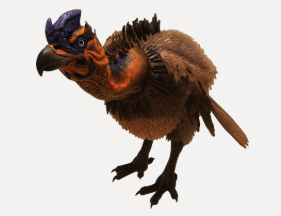 Geier / Vulture