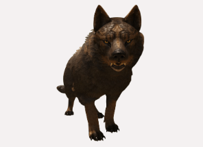 Wolf