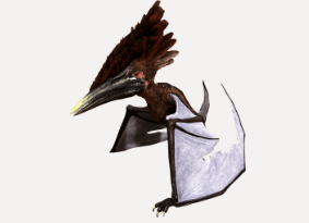 Leatherwing