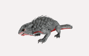 Thorny Dragon